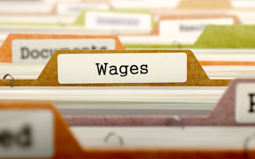 What is the Wages Protection System (WPS)